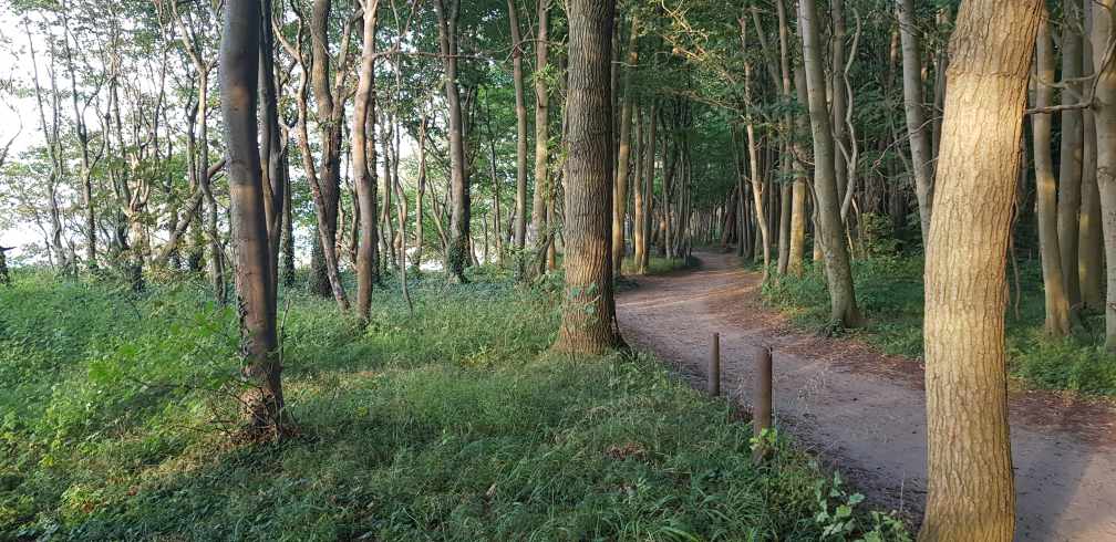 Ostseefahrradweg