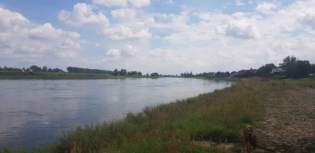 Wohnmobilstellplatz an der Elbe
