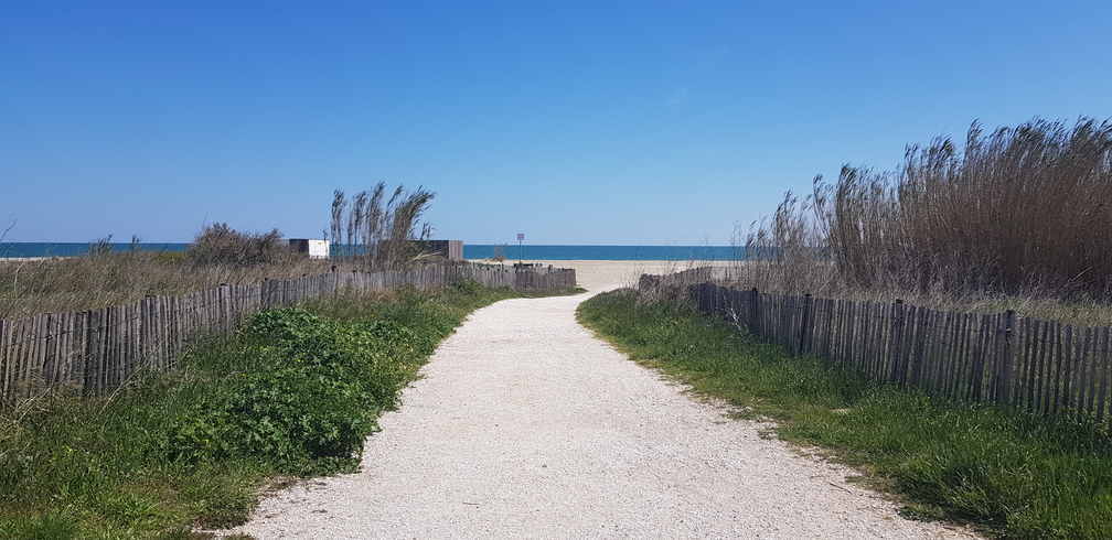 Weg zum Strand