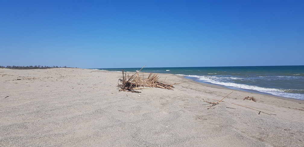 Strand Argeles sur Mer