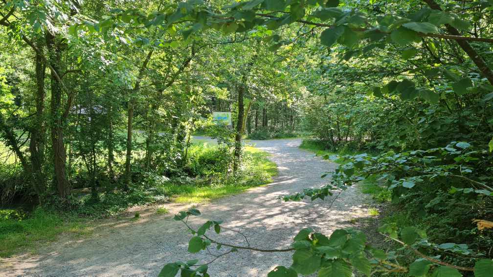 Wanderweg am Betineuc