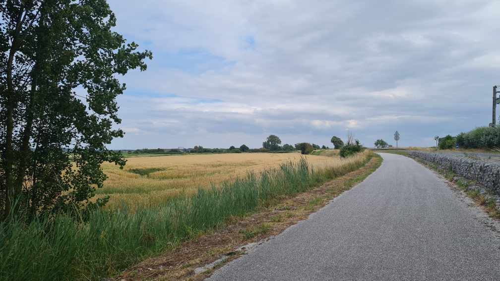 Zufahrtsstraße Wohnmobilstellplatz