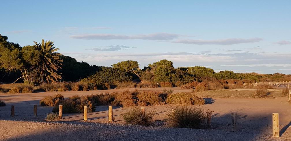 Naturpark El Saler
